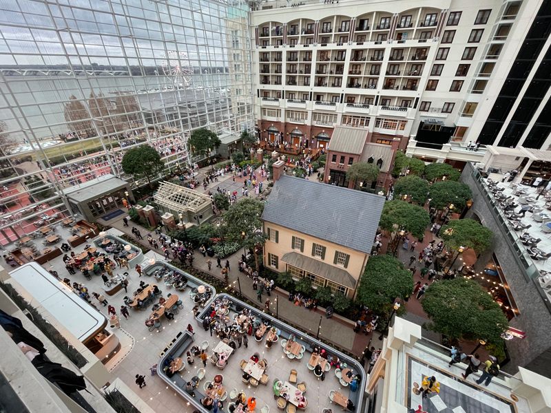 The atrium floor.