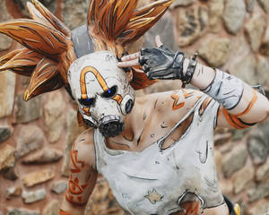 @rbf.cos is Psycho from Borderlands 3