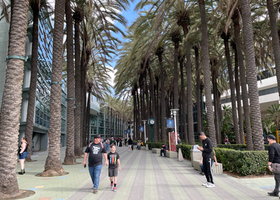 A palm tree promenade.